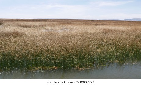 Crossing Lake Titicaca On A Small Boat, In Broad Daylight, With Miles Of Reeds On The Horizon, As Far As The Eye Can See, Path And Navigation