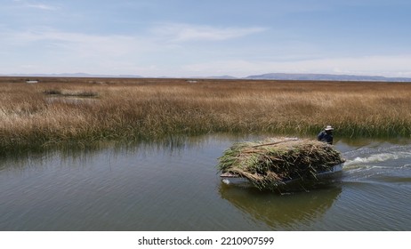 Crossing Lake Titicaca On A Small Boat, In Broad Daylight, With Miles Of Reeds On The Horizon, As Far As The Eye Can See, Path And Navigation