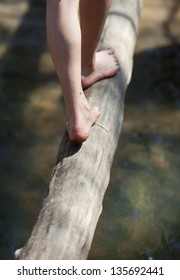 crossing a river on tree