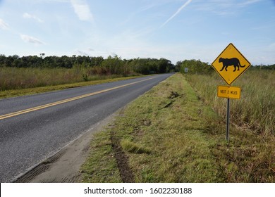 Crossing Sign For Florida Panther (Puma Concolor Couguar) In National Park Everglades In Florida USA