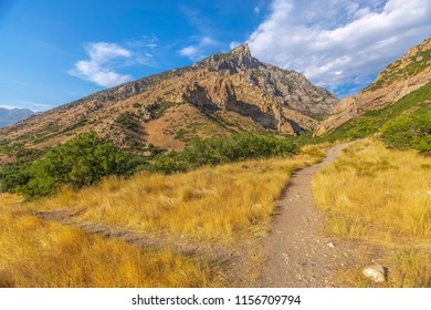 Crossing Trails In Provo Canyon