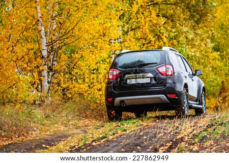 Crossover in front of autumn forest (rear view)