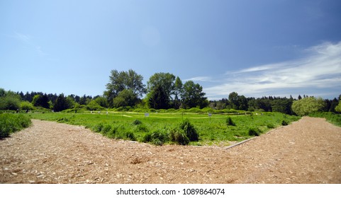 Crossroad At Dog Off-leash Area  In Marymoor Park, Redmond, Washington