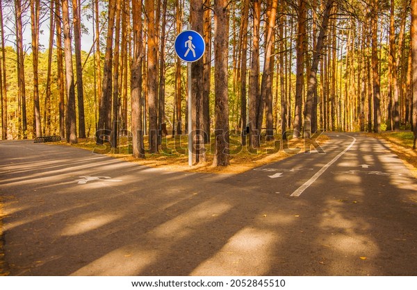 the crossroads\
forest road divides from one in two roads which each leads in\
different directions, autumn\
park