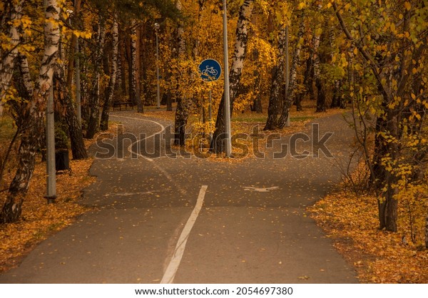 the crossroads
forest road divides from one in two roads which each leads in
different directions, autumn
park