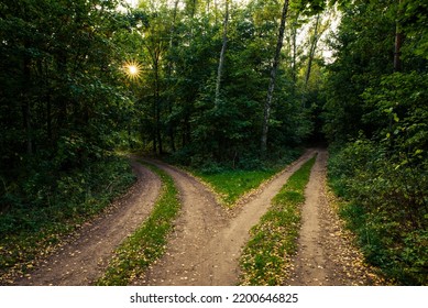 7,711 Crossroad Forest Images, Stock Photos & Vectors | Shutterstock
