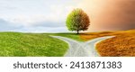 Crossroads on a path through a hilly landscape