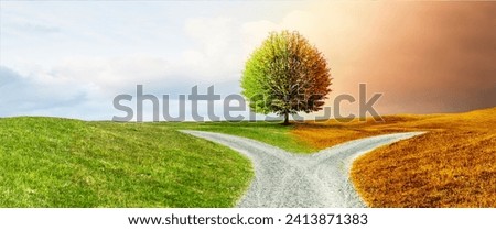 Crossroads on a path through a hilly landscape