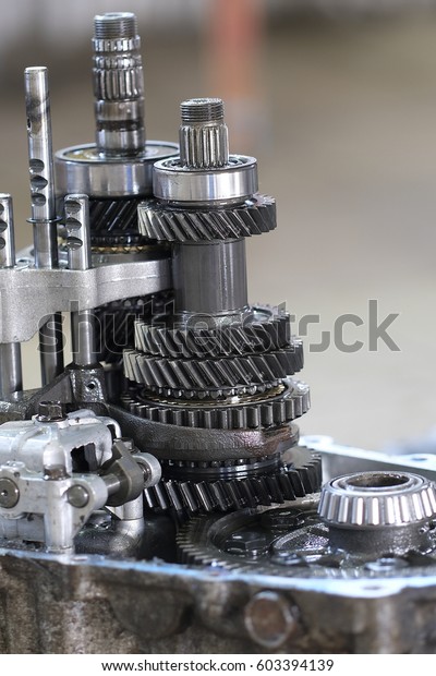 cross-section of car\
transmission