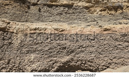 Cross-section of the ground showing different colour layers of soil with plants growing on the surface. Stratigraphy.