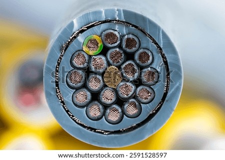 Cross-section of a multi-core copper control cable, close-up cross-section