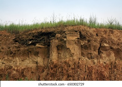 cross-section in the soil - Shutterstock ID 650302729