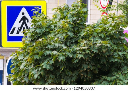 Similar – Image, Stock Photo sign from behind Sky