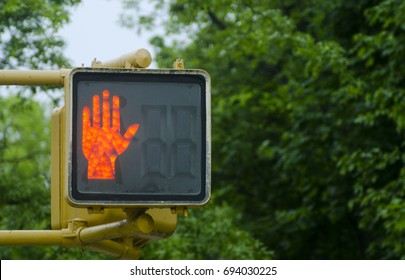 Crosswalk Traffic Signal Light