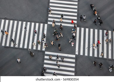 横断歩道 Hd Stock Images Shutterstock