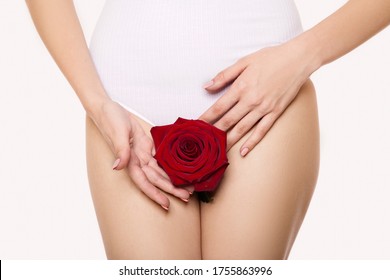 crotch female health flower. Red Rose. White background