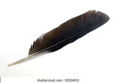 Crow Feather On White Background Stock Photo 92024915 