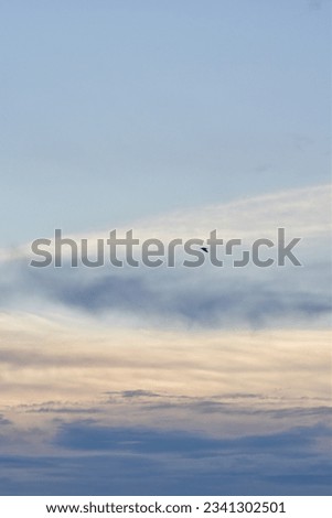 Similar – Flying rainbow kites coast