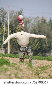 a crow man statue 