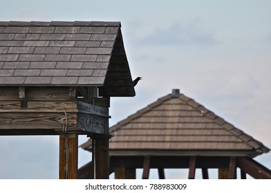 Crow On Rooftop