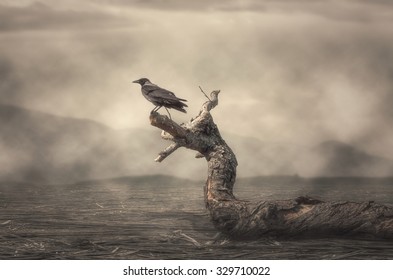 The Crow Perching On Tree In Misty Weather