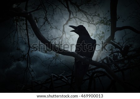 Crow sit on dead tree trunk and croak over fence, moon and cloudy sky, Mysterious background, Halloween concept