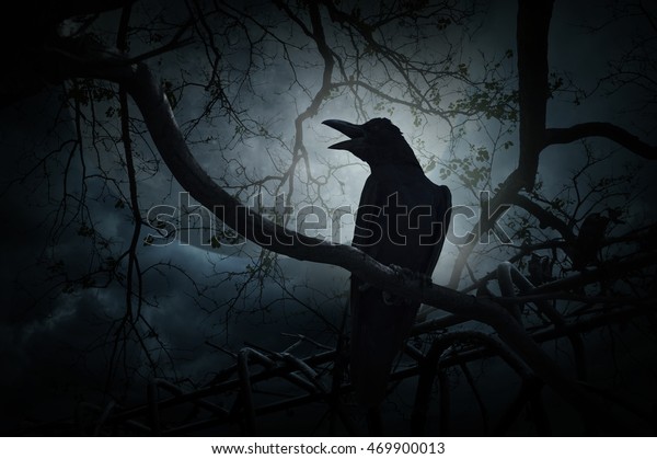 Crow Sit On Dead Tree Trunk Stock Photo (Edit Now) 469900013