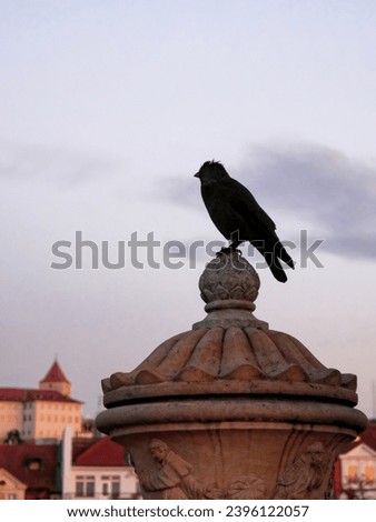 A crow sits atop a decorative stone structure, with a gray sky in the background.