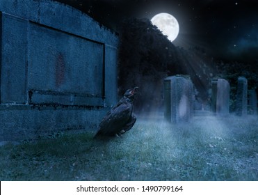 crow sits on a cemetry in front of a gravestone