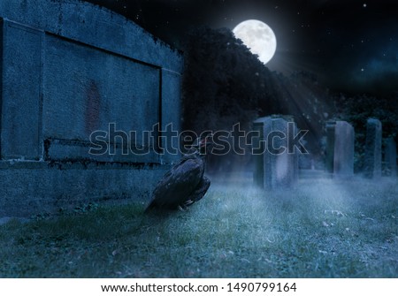 crow sits on a cemetry in front of a gravestone