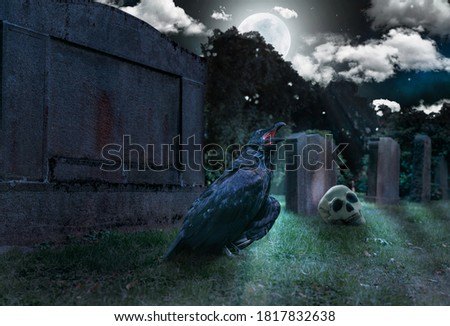 a crow sits on a cemetry in front of a tombstone