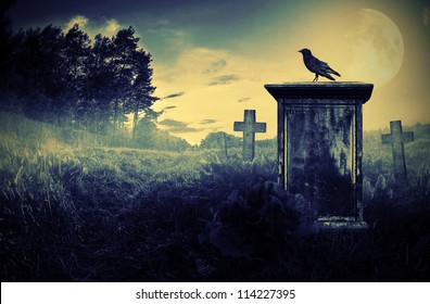 Crow sitting on a gravestone in moonlight