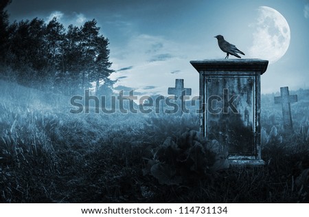 Crow sitting on a gravestone in moonlight