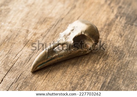 Crow skull on wooden background close up