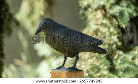 Crow statue made of hard plastic, placed on a wooden fence post for decoration