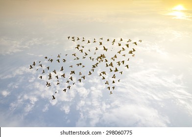 Crowd of birds flying on sky arrow shape , growth development progress success business team work concept , nature art abstract background