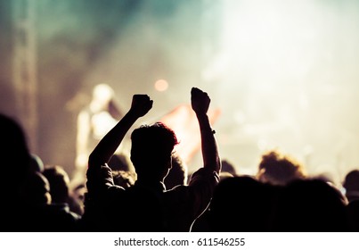 Crowd At Concert - Summer Music Festival