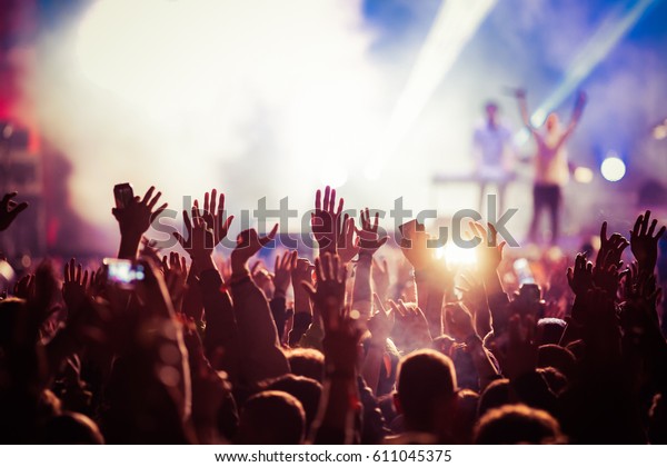 crowd at concert -\
summer music festival