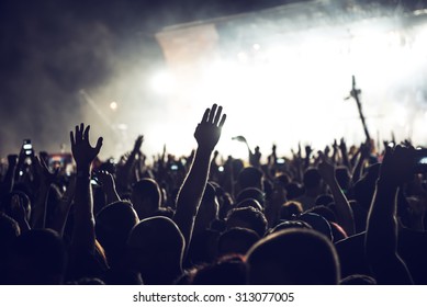 Crowd People Celebrating Partying Their Hands Stock Photo 313077005 