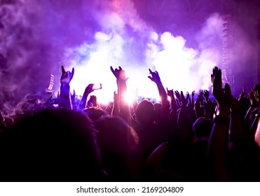 Crowd Of People Dancing At Concert