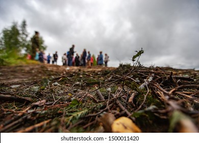 A Crowd Of People Picketing Deforestation Stands On The Background Of Branches Lying On The Ground From Felled Trees, An Environmental Disaster In Violation Of The Law