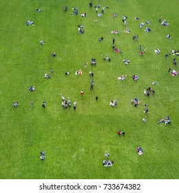 Crowd of people resting on a green lawn in a park, top view