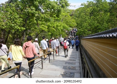 Crowd Of People Walking Down Pathway Inside Zen Garden Of Golden Pavilion In Kyoto, Japan With Trees Foliage And Blue Sky Background.