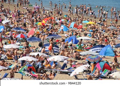 Crowded Beach In Summer