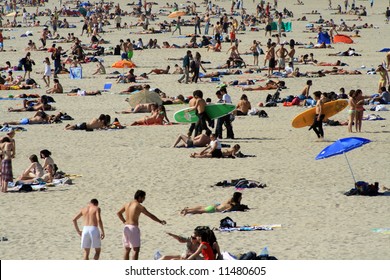 crowded beach in the summer with surfers