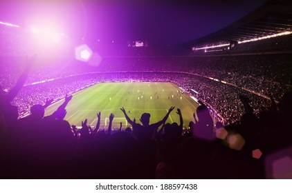 Crowded soccer stadium