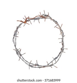 Crown Barb Thorns Isolated Over White Stock Photo 371683999 | Shutterstock