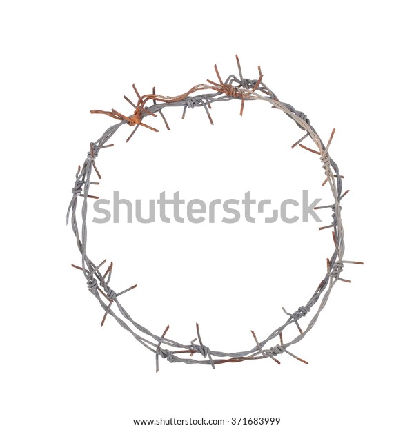 Hakuun Crown Barb Thorns Isolated Over White Liittyva Arkistovalokuva Muokkaa Nyt 371683999