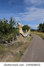 Crown Hill Park, Wheat Ridge, CO