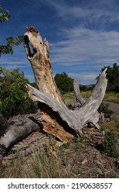 Crown Hill Park, Wheat Ridge, CO